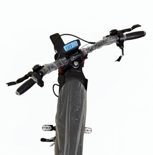 Pegasus Ebike